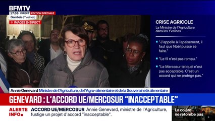 Pour la ministre de l'Agriculture, Annie Genevard, l'accord entre l'Union européenne et les pays sud-américains du Mercosur est "inacceptable"