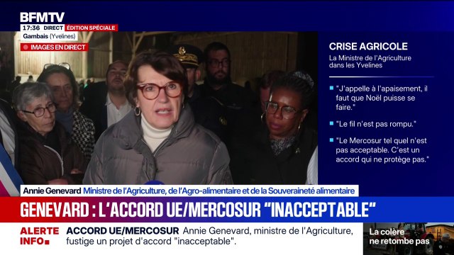 Pour la ministre de l'Agriculture, Annie Genevard, l'accord entre l'Union européenne et les pays sud-américains du Mercosur est inacceptable