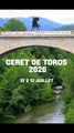 toros ceret