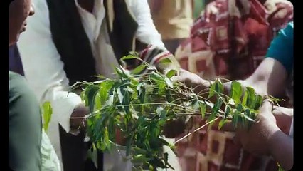 Amar bajo las espinas - Clip VOSE