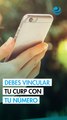 Vincula tu celular a la CURP: trámite presencial o en línea