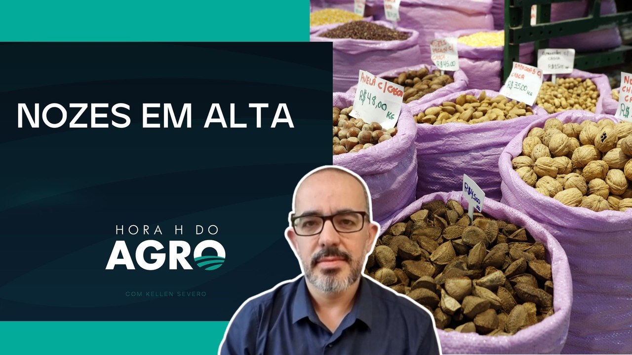 Nozes e castanhas ganham espaço com alta da demanda no fim do ano