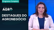 Amendoim em alta, fertilizantes verdes, IR rural e consumo de Natal - 20/12/25 - Hora H do Agro