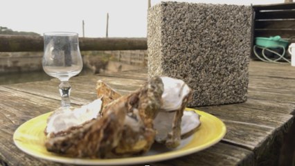 Ces Français font des routes anti-inondation et des murs anti-sécheresse avec des huîtres