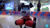 Chine : le premier centre commercial au monde dédié aux robots
