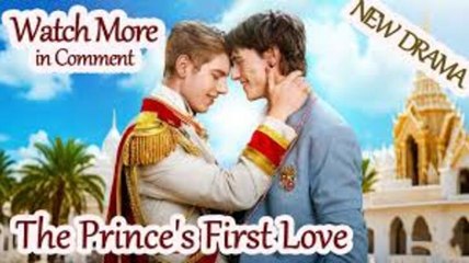 ❤️The Prince's First Love