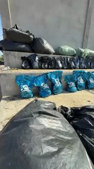 Mais de quatro toneladas de maconha foram apreendidas no interior da Bahia; saiba detalhes