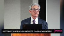 Softer CPI Surprises, Economists Flag Data Concerns