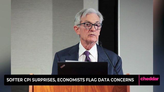 Softer CPI Surprises, Economists Flag Data Concerns