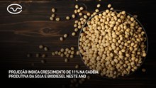 Projeção indica crescimento de 11% na cadeia produtiva da soja e biodiesel neste ano