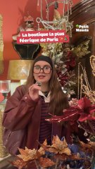 La boutique la plus magique de Paris existe vraiment ! 🎄✨©️ Crédit : @petitmauda🎁 Tous nos bons plans à retrouver en bio ! ❤️‍🔥👉🏻 Abonne-toi au Petit Mauda pour plus d’inspiration ! 🌳