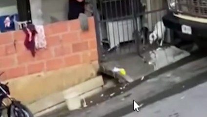 Verifican estado de dos perritos tras denuncia de maltrato en Santa Rita