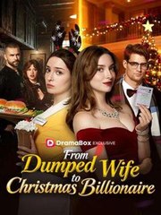 From Dumped Wife to Christmas Billionaire #Dramabox