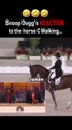 Snoop is too funny 😂 #snoopdogg #kevinhart #funnyshorts #horse #horseriding #horseracing #horses