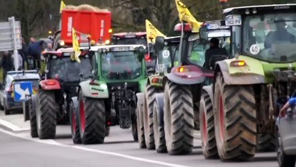 MÂCON-LOCHÉ - Manifestation des agriculteurs : Une avancée pour la vaccination, rien encore sur l'abattage des bovins