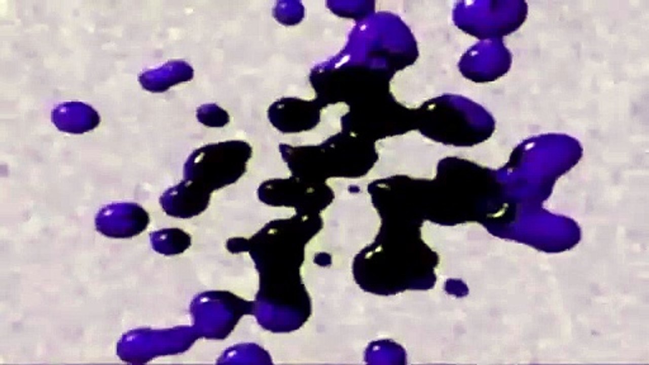 (please read the description) THE KLASKYNESS OF KLASKY CSUPO (WIDESCREEN)