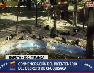 Min. Molina destacó la siembra de 4 millones 804 mil 058 árboles en todo el territorio venezolano