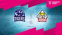Highlights von Straubing Tigers - Fischtown Pinguins