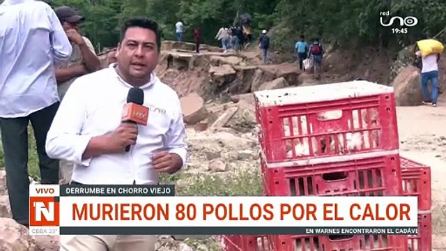 MURIERON 80 POLLOS POR EL CALOR