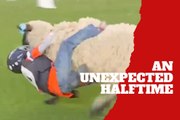 The Denver Broncos’ halftime leaves everyone amazed