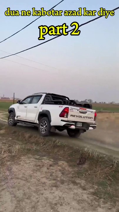 dua ne kabotar azad kar diye #youtuber #youtubeshorts #unfrez