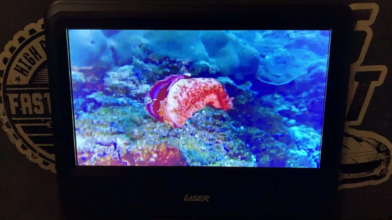 Finding Nemo - Exploring The Reef with Jean-Michel Cousteau