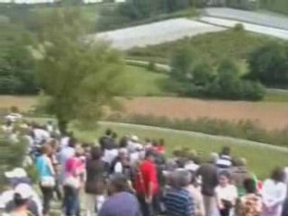 Pelat_chasselas_2008