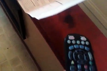 Spectrum remote programing