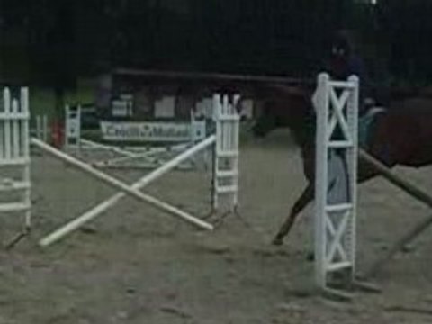 Gymnastiques à l'obstacles