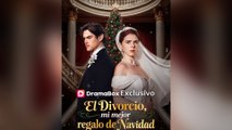 El divorcio, mi mejor regalo de Navidad En Español