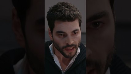 كيليش بيطلب تسريع التقرير - الأزهار البرية - #YabanÇiçekleri