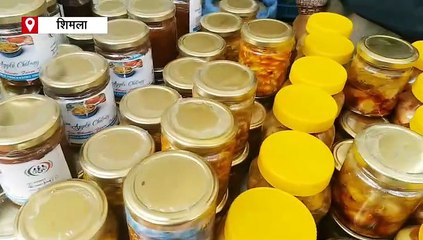 लाठी नहीं, मेहनत का सहारा: सरस मेले में बुजुर्गों ने दिखाया 'आत्मनिर्भर हिमाचल'