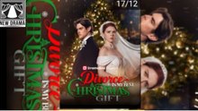 Divorce Is My Best Christmas Gift
