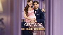 Gestando para el Billonario Arruinado en Español