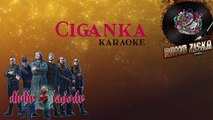 Divlje Jagode-Ciganka Karaoke