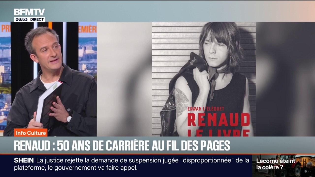 Archives, chansons, correspondance avec Mitterrand... Ce que révèle le livre sur les 50 ans de carrière de Renaud