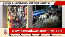 Train Accident in Hojai District: Eight Elephants Killed