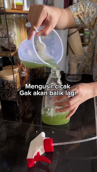 Lizard repellent potion #viral #videoshort #kreatif