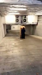 When Moving Day Goes Wrong: The Art of the Epic Fail