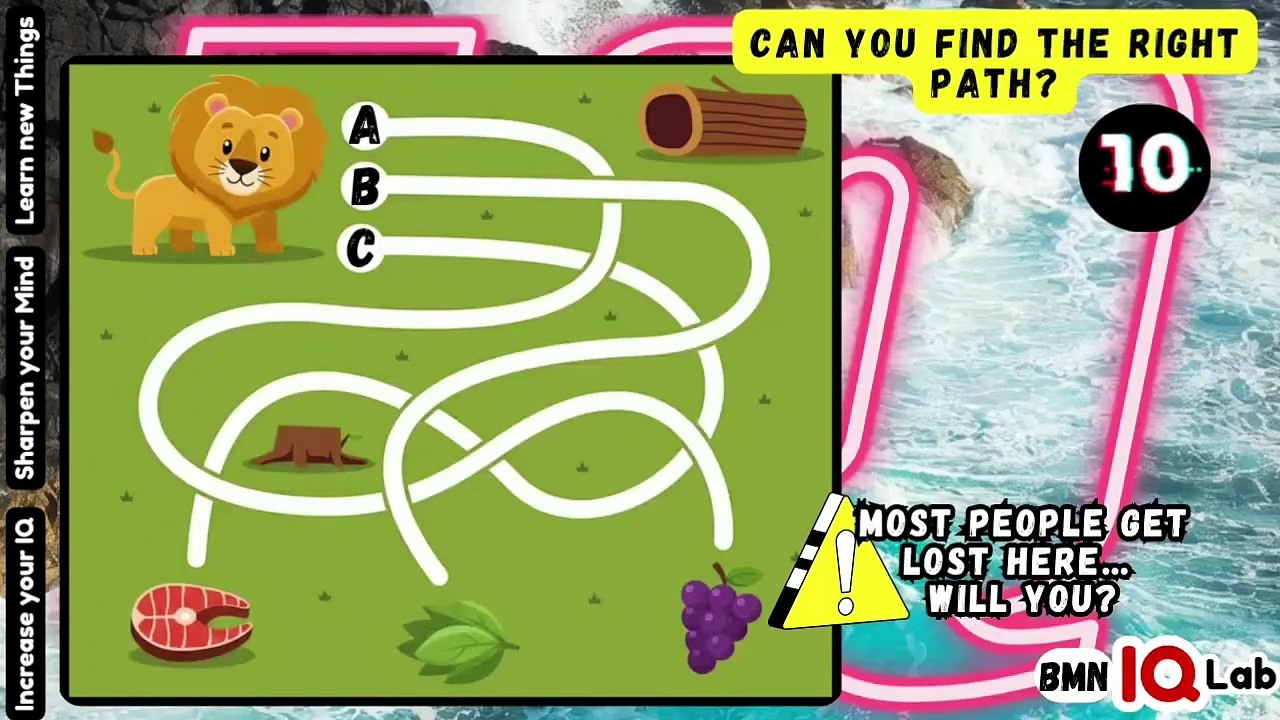Can You Find the Right Path? 🚸
