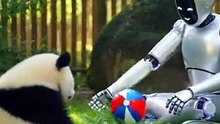 Robot Trying to Play With Panda 🤖🐼 | Funny Animal AI Moment
