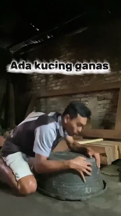 FB_VID_8889507058483046085
