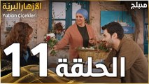 مسلسل الأزهار البريّة | الحلقة 11 | مدبلج | Yaban Çiçekleri