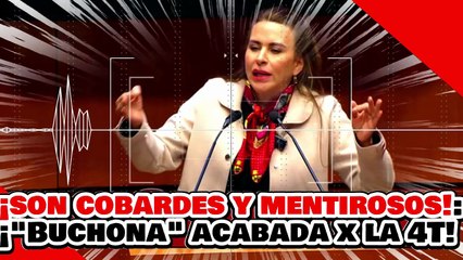 🔥🚨¡¿QUÉ LES DIGO SON COBARDES Y MENTIROSOS! ¡’NARKO BUCHONA’ DESENMASCARADA por La SENADORA ARIAS!