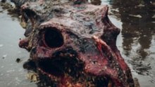 最新衝撃映像 浜辺で撮影されたと言われる 未確認生物