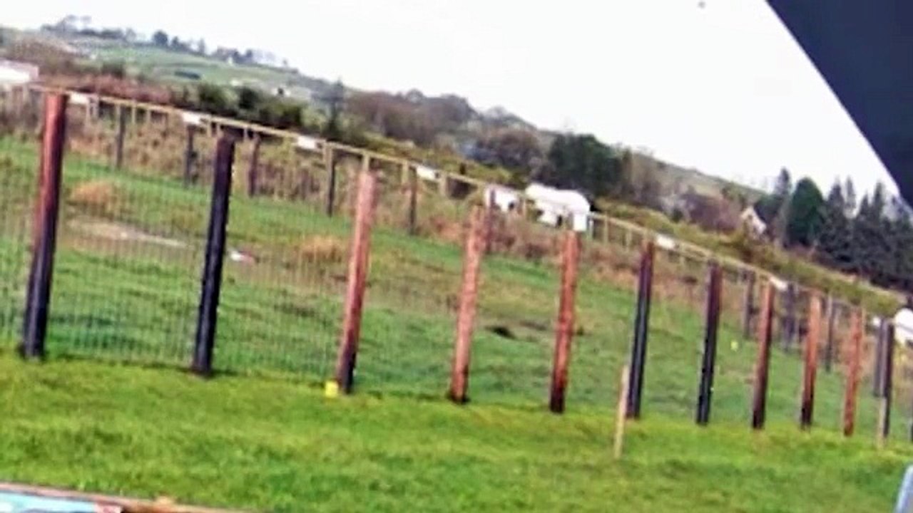 Paragliders narrowly avoid landing in polar bear enclosure