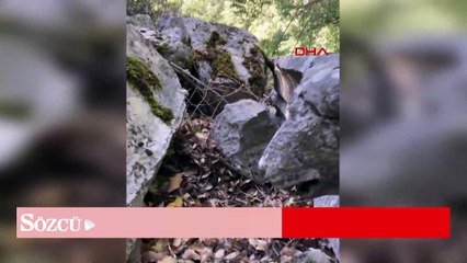 2 bin yıllık aslan başlı çörten kırıldı: İnceleme başlatıldı