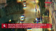 Eve giren jandarmalar şoke oldu! Yılan, örümcek, kertenkele...