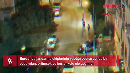 Eve giren jandarmalar şoke oldu! Yılan, örümcek, kertenkele...