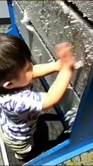 Funniest Kids Reactions Ever – So Adorable 😂